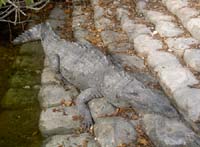 PICT4080